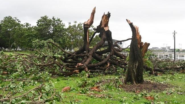 امداد هوایی جان 14 نفر گرفتار سیلاب در کوئینزند را نجات داد