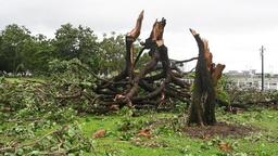 امداد هوایی جان 14 نفر گرفتار سیلاب در کوئینزند را نجات داد