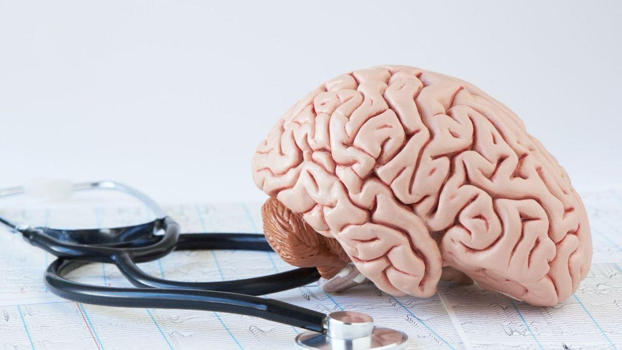 نقش مهم ویروس‌های چند صد ساله در رشد و تکامل مغز و بدن انسان‌ها