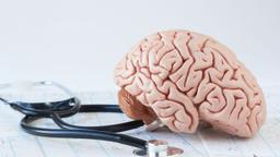 نقش مهم ویروس‌های چند صد ساله در رشد و تکامل مغز و بدن انسان‌ها