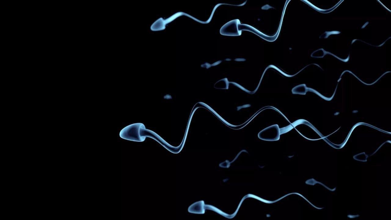 تکنیک تازه دانشمندان استرالیایی برای تسریع حرکت اسپرم‌های تنبل