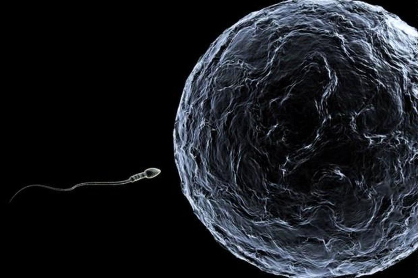 تجارت اهدای اسپرم در ایران توسط افراد مشهور، خوش‌چهره و خوش اندام!