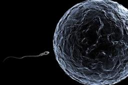 تجارت اهدای اسپرم در ایران توسط افراد مشهور، خوش‌چهره و خوش اندام!