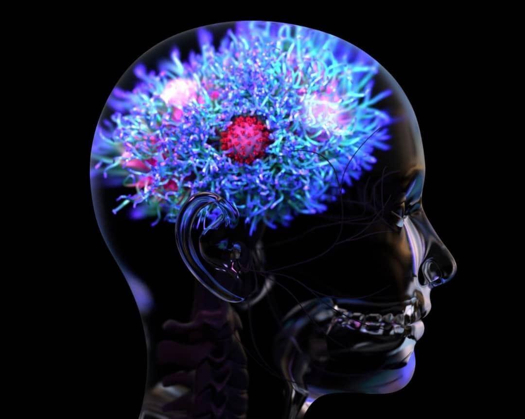  کووید-۱۹ در بهره هوشی تاثیرگذار است؟