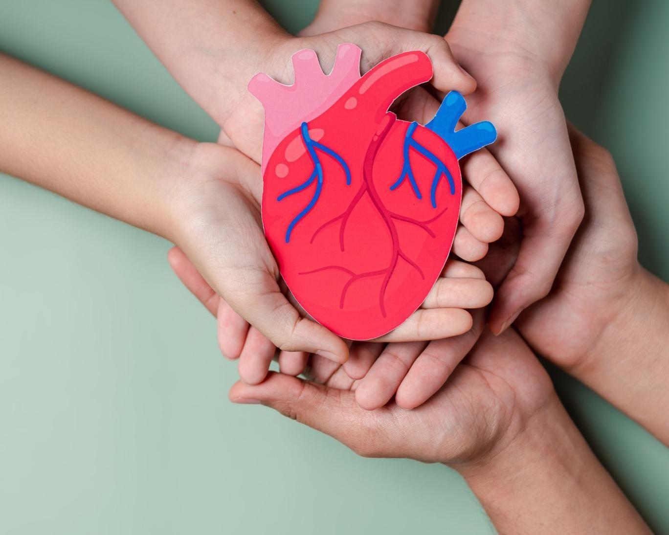 تنظیم بودن ضربات قلب هنگام استراحت نشانه طول عمر است