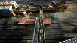 ممنوعیت تجارت گوسفند زنده با کشتی از استرالیا