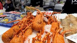 صادرات خرچنگ دریایی زنده از استرالیا به چین از سرگرفته می‌شود