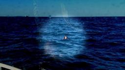 نجات معجزه‌آسای یک ملوان پس از 19 ساعت سرگردانی در دریا