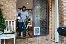 گرم شدن هوا و هجوم هزاران سوسک‌ سرگین غلتان پرنده به کانبرا 