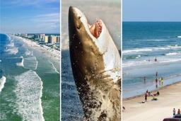 خطرناک‌ترین سواحل جهان در کدام کشورها قرار دارند؟