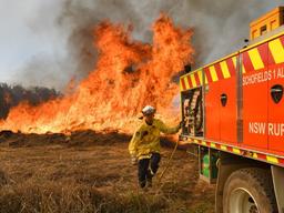 تمدید ممنوعیت افروختن آتش در ایالت نیوساوت‌ولز