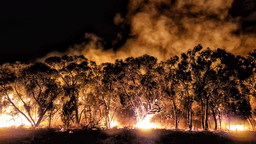 بسته حمایت مالی برای خسارت‌دیدگان آتش‌سوزی جنگل در گرامپاین، ایالت ویکتوریا