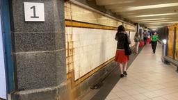 حفاظت از کاشی‌های قدیمی و دست‌ساز ایستگاه مترو خیابان فلیندرز در ملبورن