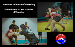 گزارشی از خانه کشتی در سیدنی استرالیا ، ترکیبی از هیجان، ایمنی و تکنیک‌های مدرن برای تمام سنین