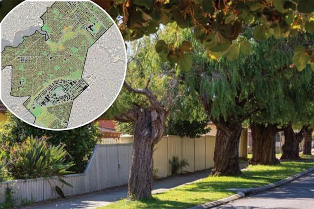 شورای شهر کانینگ در استرالیای غربی برای حفظ درختان به ساکنان پاداش پرداخت می‌کند