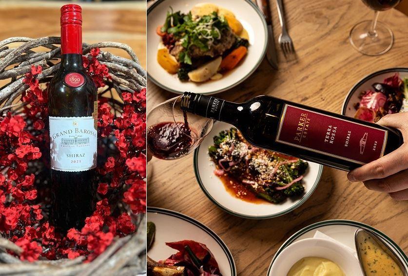 شرابی به نام شیراز؛ طعم تاریخ در تاکستان‌های استرالیا