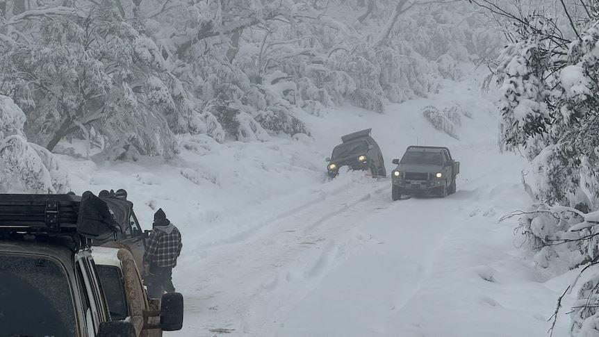 کولاک و یخبندان بخش‌هایی از شرق استرالیا را فرا گرفت