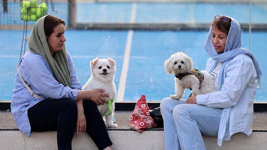 گزارش ای‌بی‌سی استرالیا از تشدید ممنوعیت سگ‌گردانی در شهرهای مختلف ایران