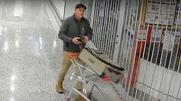 کفش دزدی که فقط به سرقت کفش لنگه پای راست علاقمند بود!