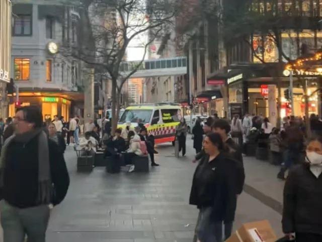 شناسایی سویه بسیار نادر آبله میمون در کوئینزلند؛ دومین مورد در تاریخ استرالیا