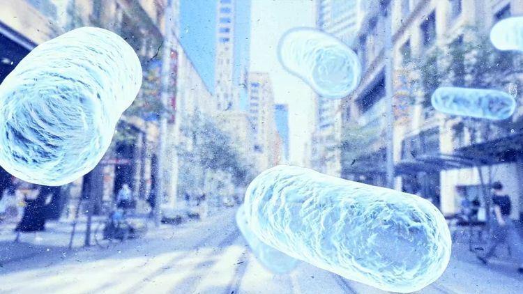 فوت یک نفر در پی شیوع بیماری لژیونر در سیدنی