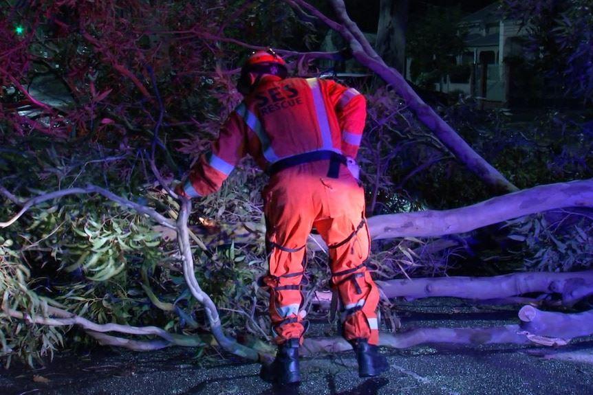 طوفان سهمگین ایالت ویکتوریا را درنوردید: قطعی گسترده برق و خسارات ناشی از سقوط درختان