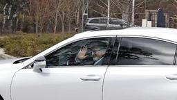 وزیر کابینه استرالیا: حفظ ارتباط محدود با ایران ضروری است