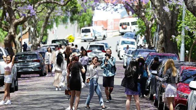 آغاز فصل بهار در استرالیا و شیوع آلرژی‌های فصلی