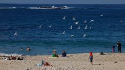 امکان افزایش تعطیلات پایان هفته ماه اکتبر در استرالیا به ۹ روز، با اخذ ۴ روز مرخصی