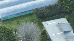 کشف مزرعه بزرگ ماری‌جوانا در ملبورن با دستگیری ۸ نفر