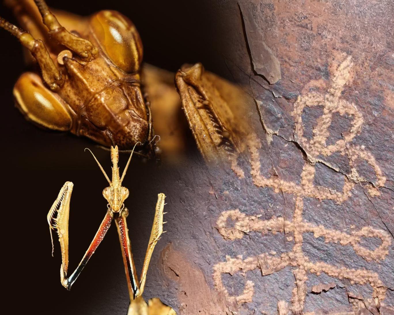 سنگ‌نگاره ۴۰ هزار ساله «مرد آخوندکی» ایران باستان‌شناسان را شگفت‌زده کرده است