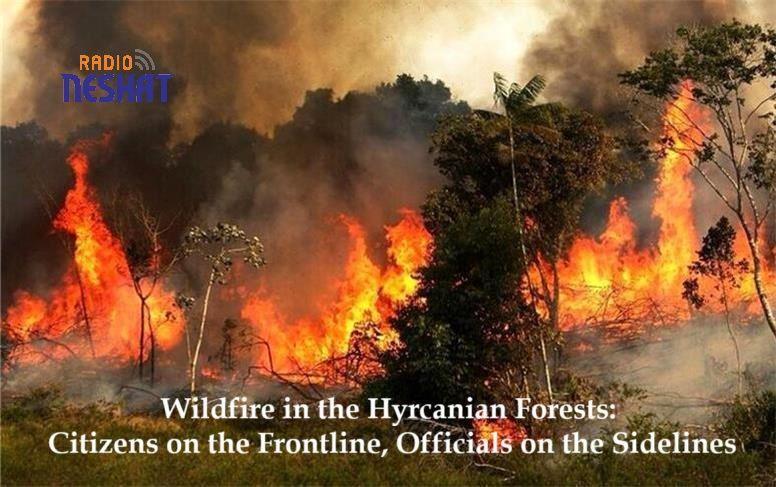 آتش‌سوزی گسترده در جنگل‌های هیرکانی؛ مردم در میدان، مسئولان در حاشیه