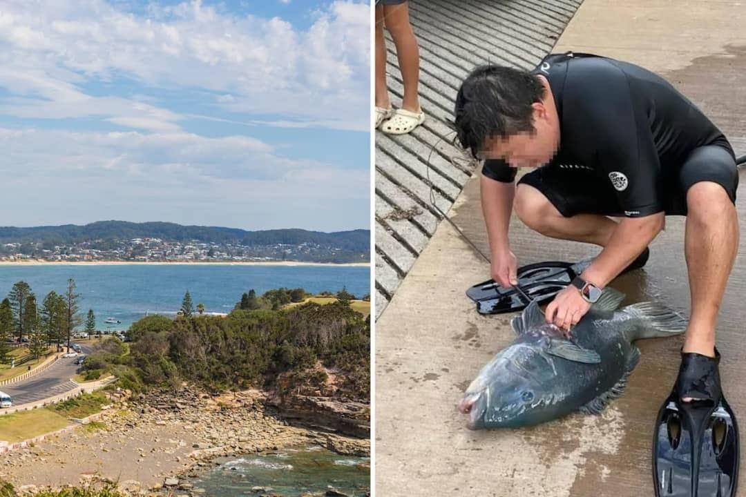 جریمه 22 هزار دلاری در انتظار صیاد غیرقانونی در ایالت نیوساوت ولز