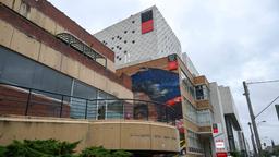 دانشگاه سوئین‌برن به دانشجویان با شش ماه سابقه تحصیل، مدرک رسمی اعطا می‌کند