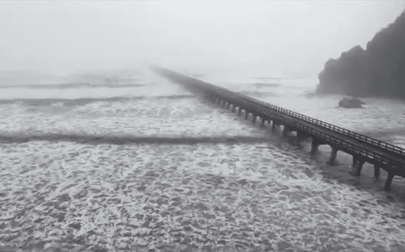 شرق استرالیا در انتظار موج گرمای بی‌سابقه؛ هشدار خطر آتش‌سوزی 