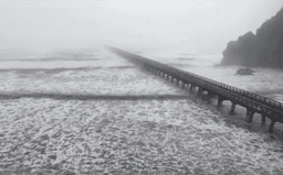 شرق استرالیا در انتظار موج گرمای بی‌سابقه؛ هشدار خطر آتش‌سوزی 