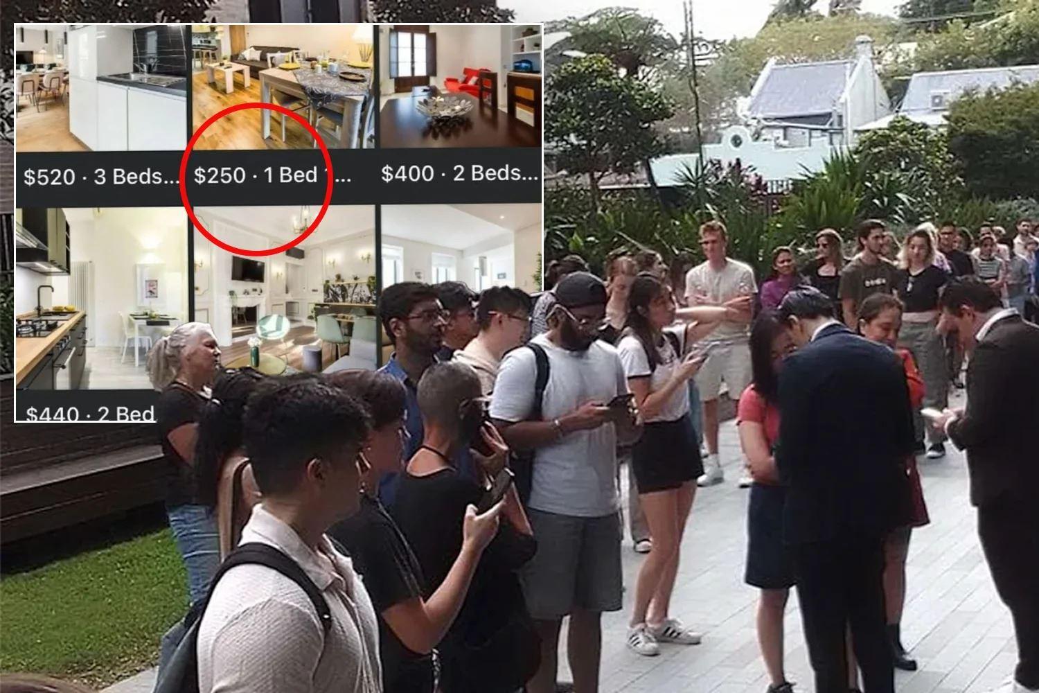 مستاجران استرالیایی مراقب باشند؛ کلاهبرداران در کمین هستند