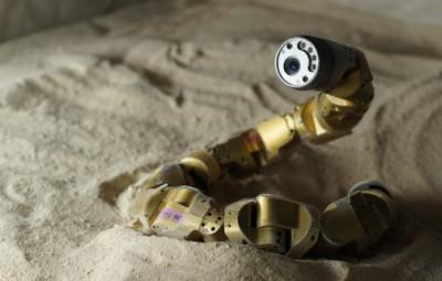 ساخت ربات خزنده توسط دانشمندان دانشگاه کارنگی ملون