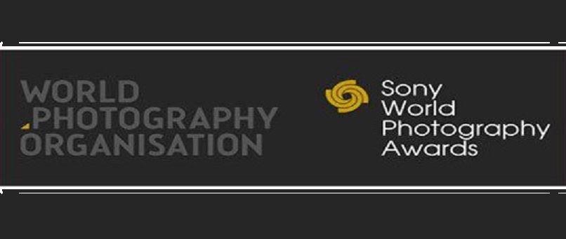 سپهر جمشیدی فرد متولد استرالیا فینالیست مسابقات عکس سونی شد