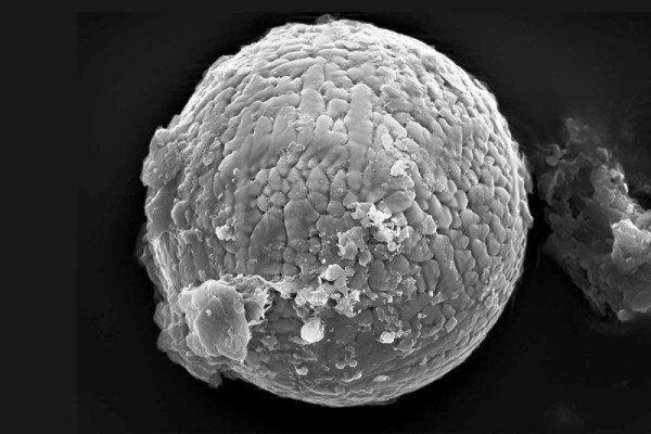 بررسی وضعیت اکسیژن درکره زمین از روی شهاب سنگهای غرب استرالیا 