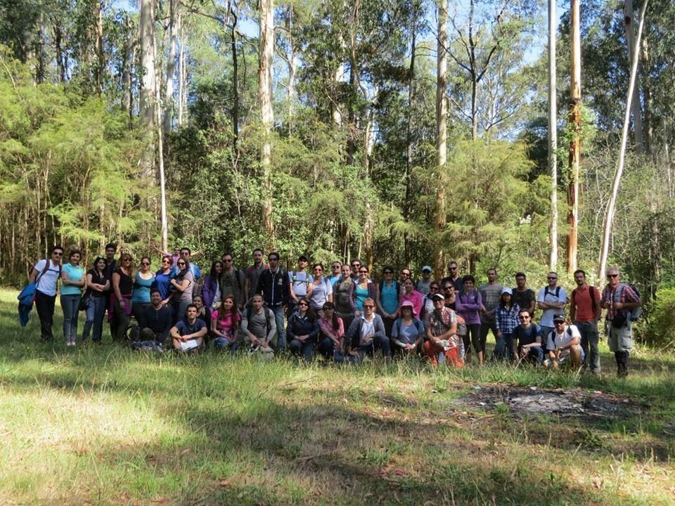 محققان  استرالیا می گویند  پوشش گیاهی نقش مهمی در کاهش استرس، خستگی روحی و افسردگی دارد