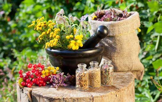  نابودی سلول های سرطانی با روش طب سنتی توسط محققان استرالیا