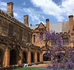 اگر دانشجویان سیدنی تا پیش از رویش نخستین شکوفه های درخت درس نخوانند، مردود می شوند!