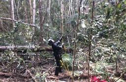 سقوط هلی‌کوپتر در جنگل‌های کویینزلند استرالیا 