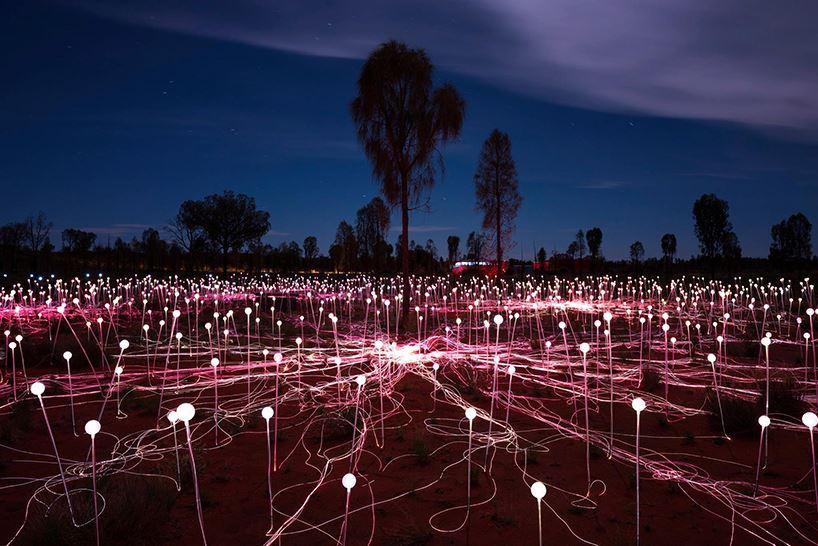 گردشگری استرالیا/الورو...شمال استرالیا ( Northern Territory..Uluru ) / زمین نورانی ( field of light Uluru )