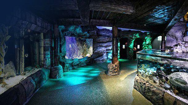 گردشگری استرالیا/سیدنی ...ایالت نیو ساوت ولز/ آکواریوم سیدنی ( Sea Life Sydney Aquarium )