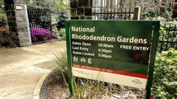 گردشگری استرالیا..ملبورن/ باغ ملی رودودندرون ( National Rhododendron Garden )