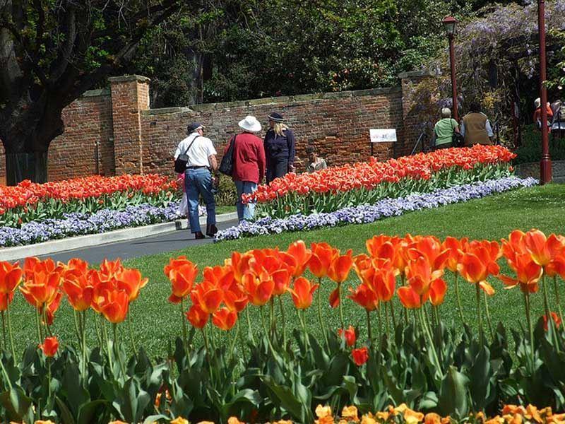 گردشگری استرالیا/هوبارت...ایالت تاسمانیا/ باغهای گیاه شناسی سلطنتی( Royal Tasmanian Botanical Gardens )