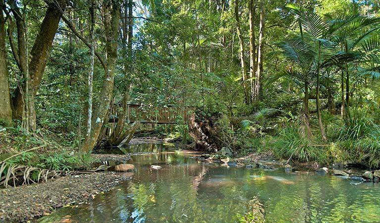 گردشگری استرالیا/سیدنی ...ایالت نیو ساوت ولز/ منطقه حفاظت شده جنگل ویان ویان ( Whian Whian State Conservation Area )