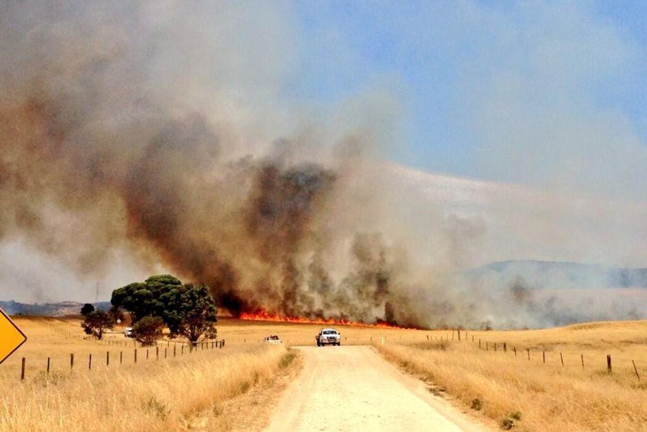 استرالیا بدلیل افزایش دما و گرمای شدید،گرفتار حریق شد